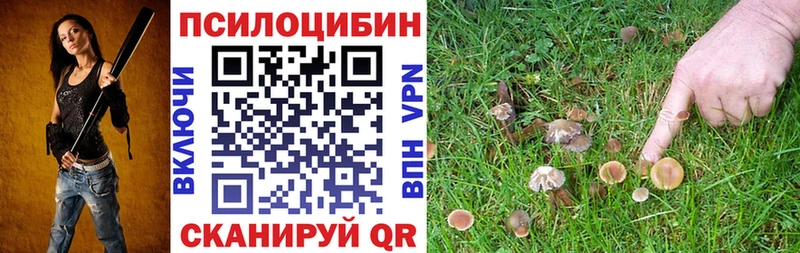 Галлюциногенные грибы мухоморы  Дрезна 